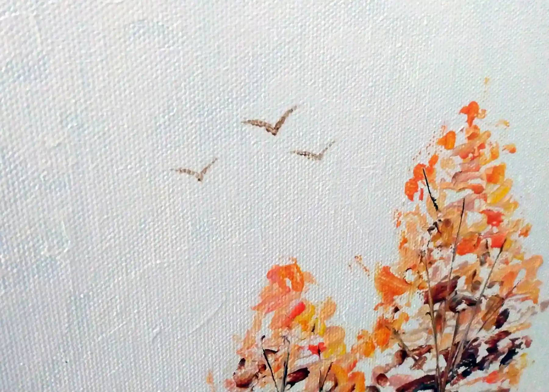 close up of three birds in the sky